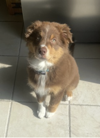 Capture d’écran 2025-10-17 à 17.09.08