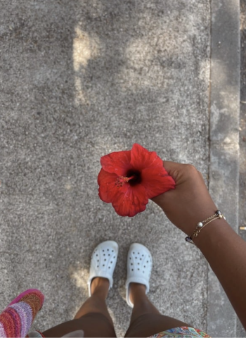 Capture d’écran 2025-10-17 à 17.10.44